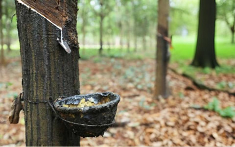 天然橡膠主力合約價格跌超2.5%